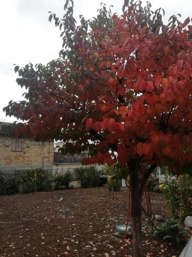 LʼAquila La Nuova Dimora B&B المظهر الخارجي الصورة